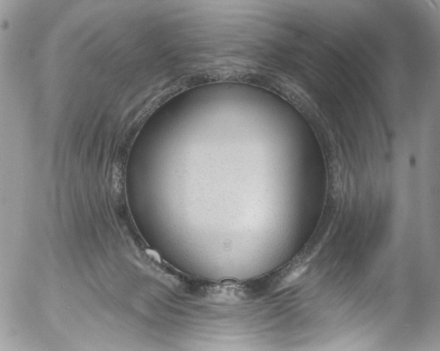 X0000053160077200508012347