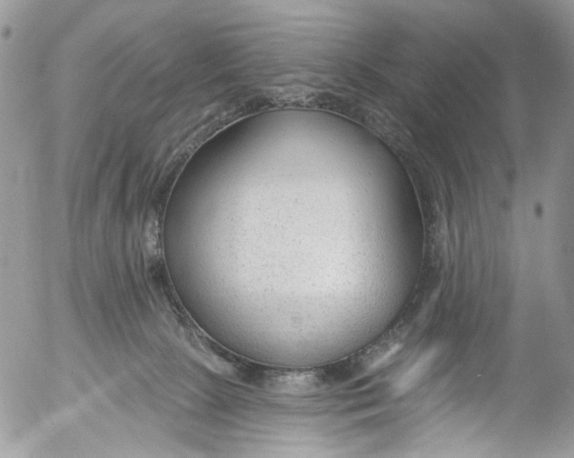 X0000053160081200508012347