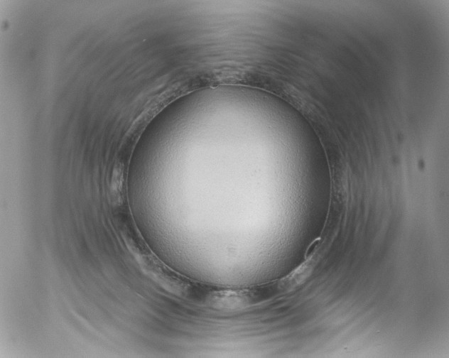 X0000053160082200508012347