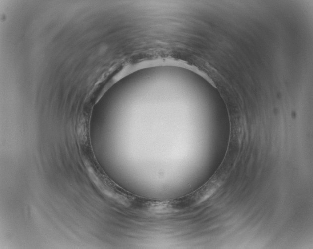 X0000053160088200508012347