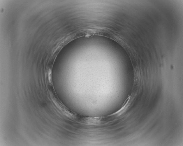 X0000053160094200508012347