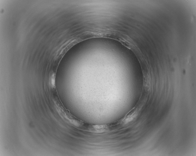X0000053160095200508012347