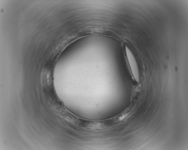 X0000053160123200508012346