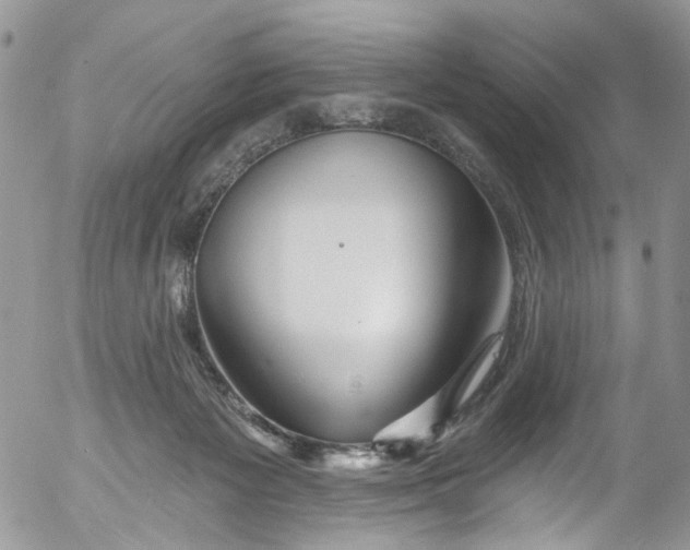 X0000053160125200508012346