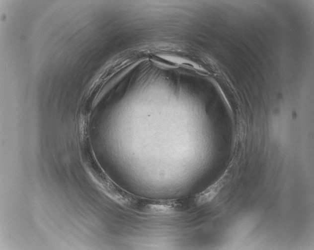 X0000053160167200508012345