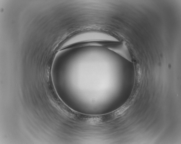 X0000053160168200508012345
