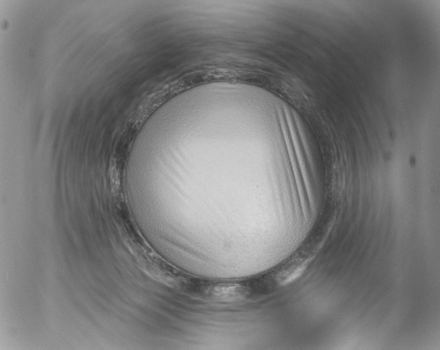 X0000053160173200508012345