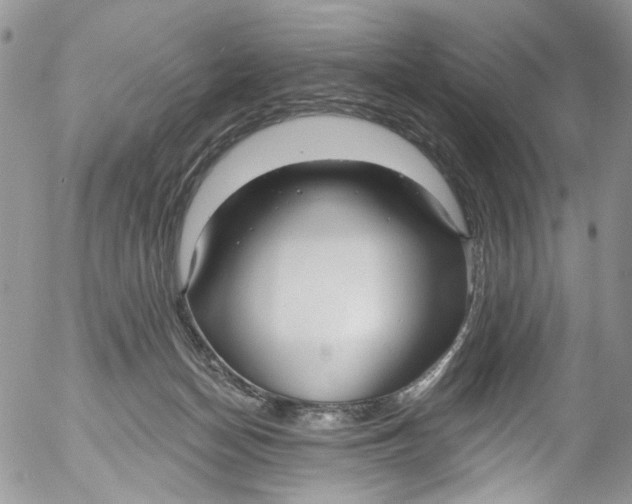 X0000053160174200508012345