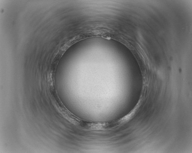 X0000053160182200508012345