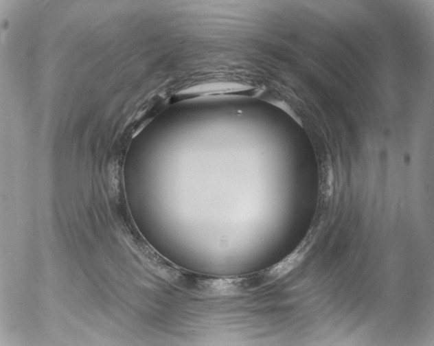 X0000053160184200508012345