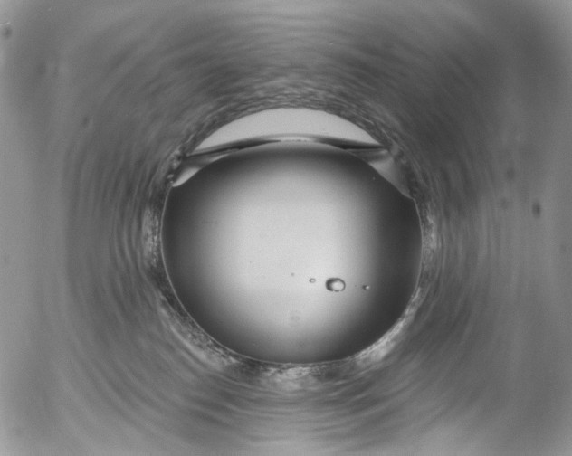 X0000053160186200508012346