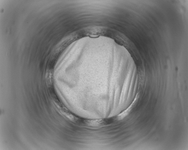 X0000053160191200508012346