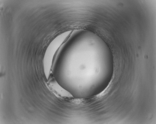 X0000053160192200508012346