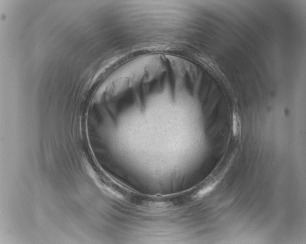 X0000053160205200508012345