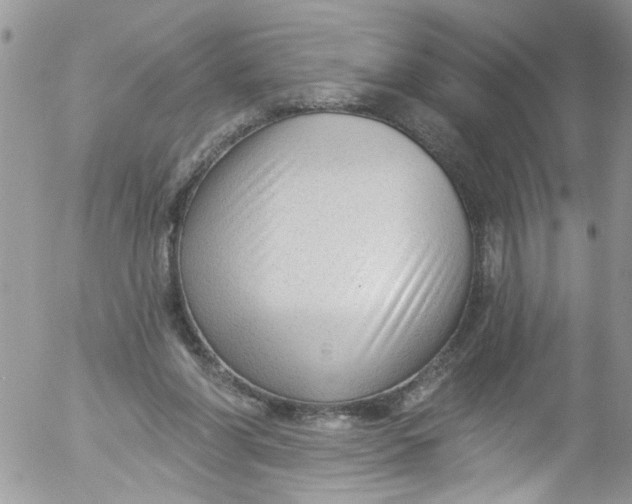 X0000053160206200508012345