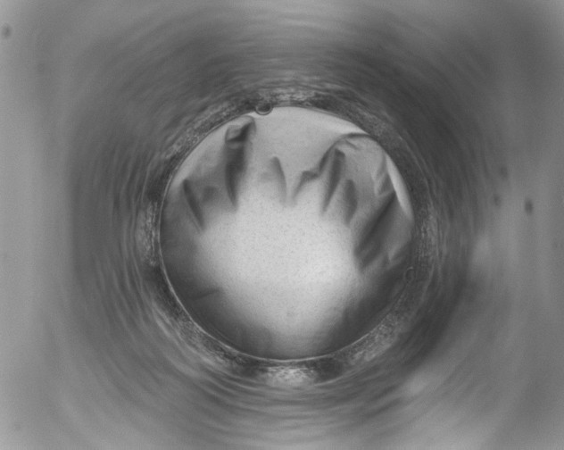 X0000053160218200508012344