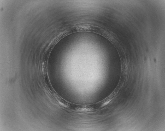X0000053160224200508012344