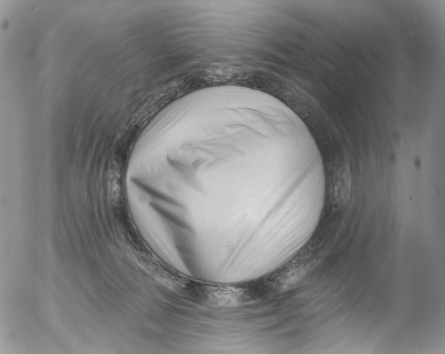 X0000053160226200508012344