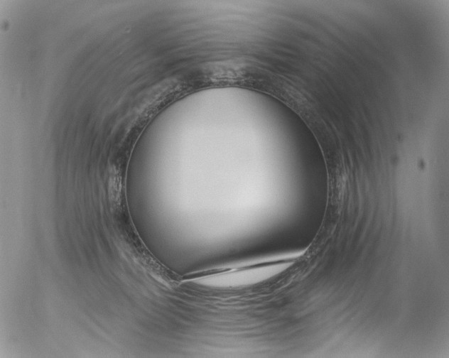 X0000053160228200508012344