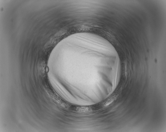 X0000053160230200508012344