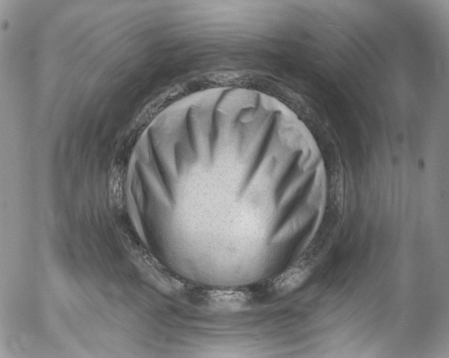 X0000053160234200508012344
