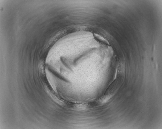 X0000053160238200508012344