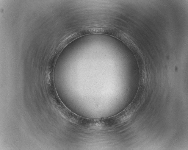 X0000053160259200508012343