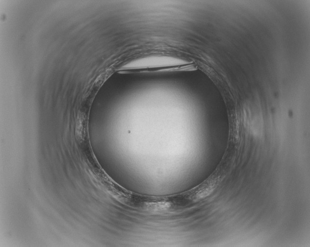 X0000053160266200508012344