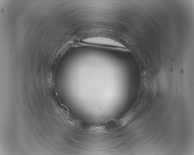 X0000053160283200508012344