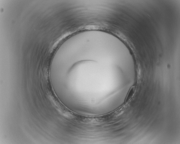 X0000053160297200508012343