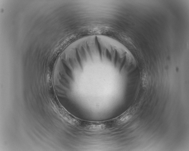 X0000053160314200508012343