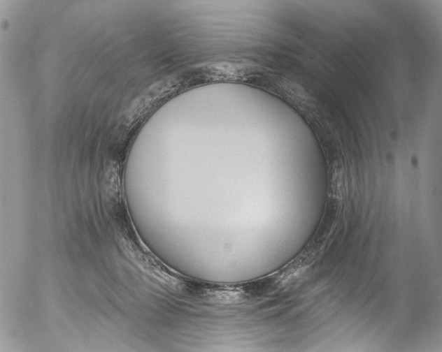 X0000053160318200508012343