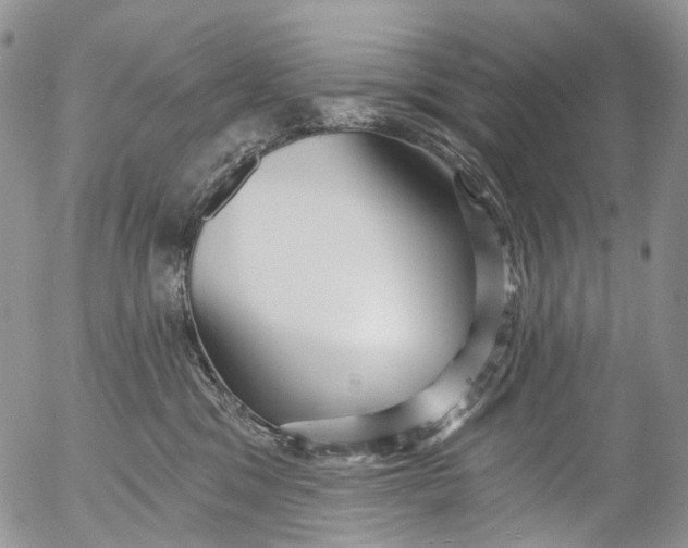 X0000053160329200508012342