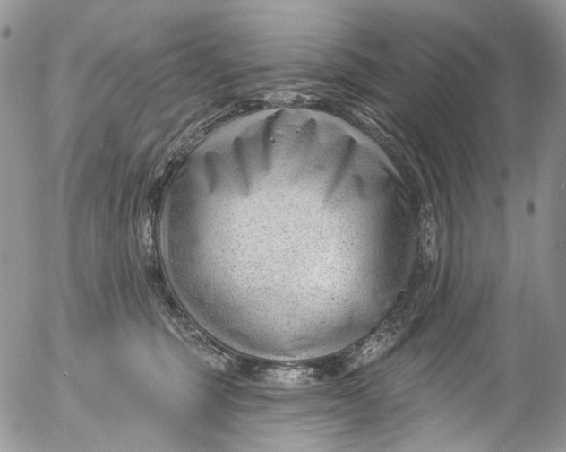 X0000053160375200508012342