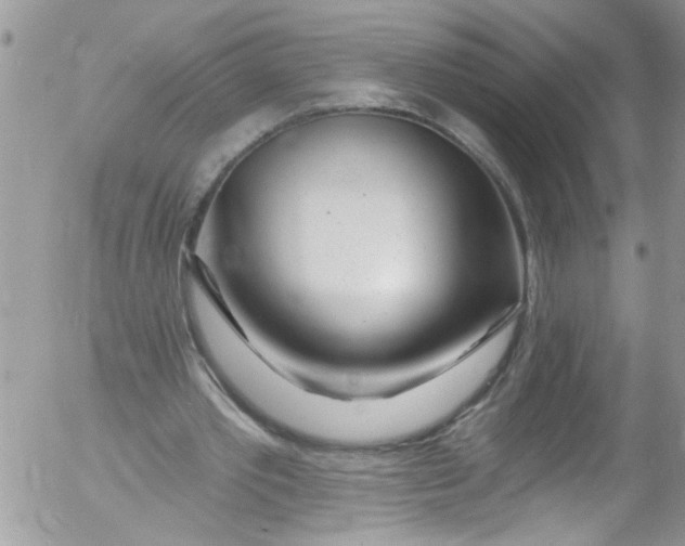 X0000053160389200508012341