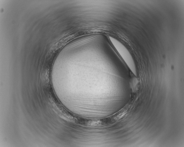 X0000053160410200508012341