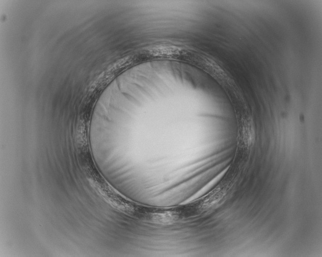 X0000053160411200508012341