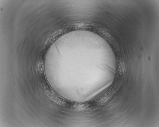 X0000053160419200508012341