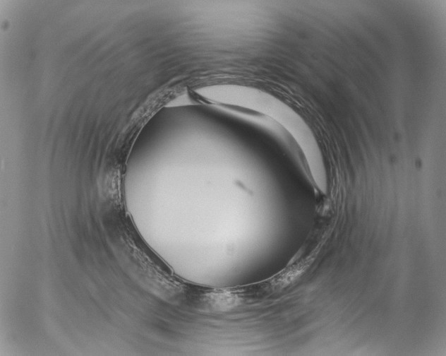 X0000053160425200508012341
