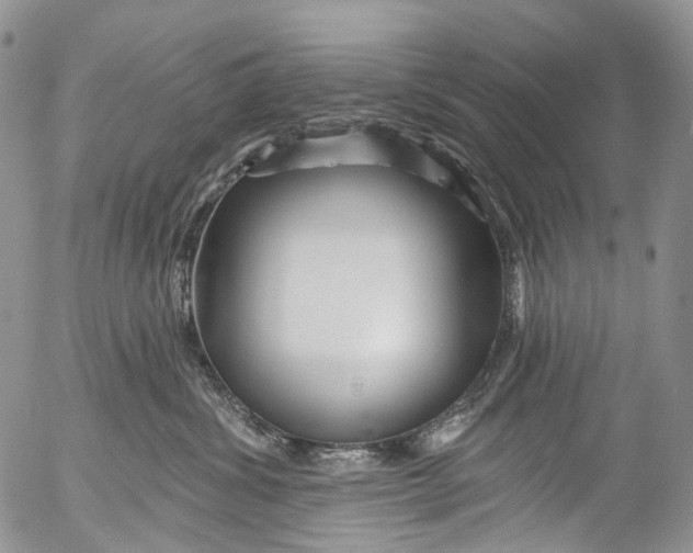 X0000053160428200508012341
