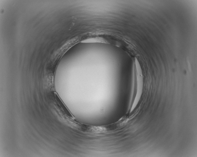 X0000053160429200508012341