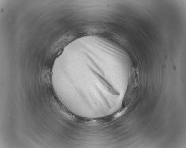 X0000053160430200508012341