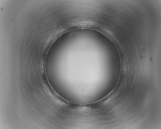 X0000053160453200508012340