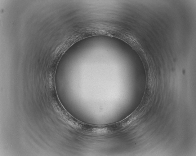 X0000053160457200508012340