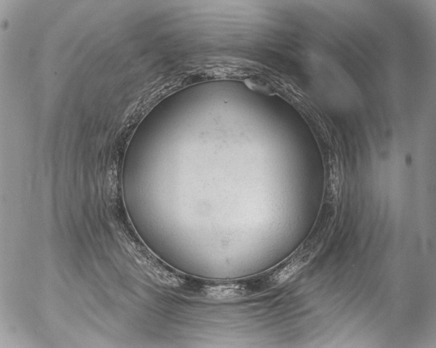 X0000053160461200508012340