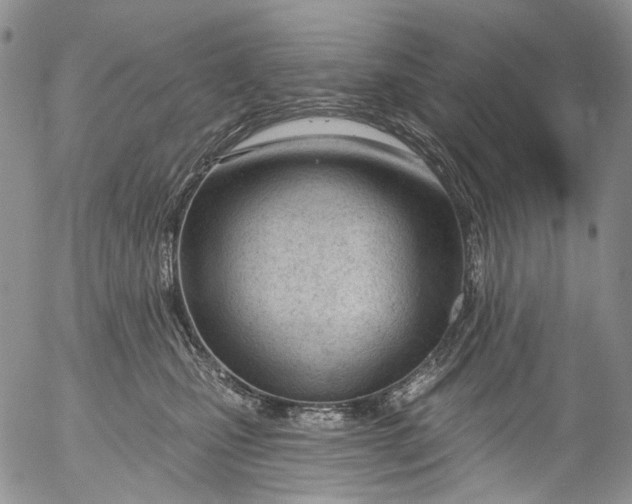 X0000053160471200508012341