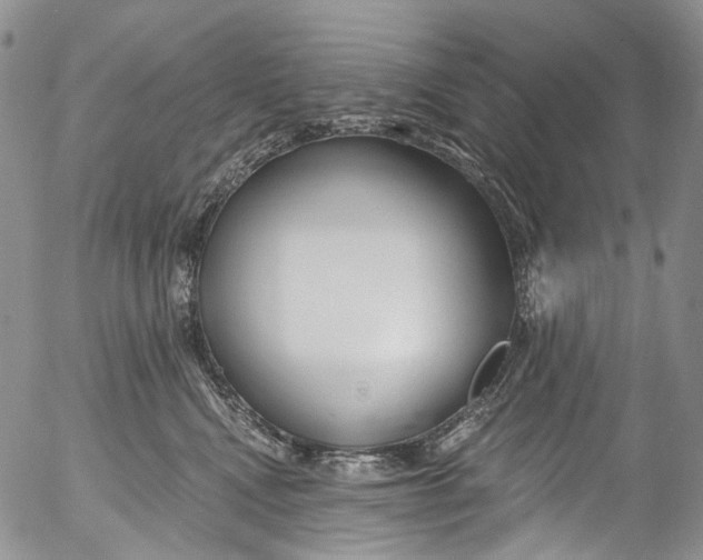 X0000053160472200508012341