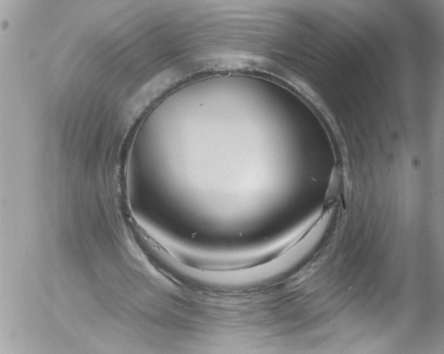X0000053160485200508012340