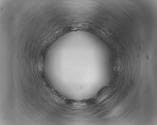 X0000053160515200508012339