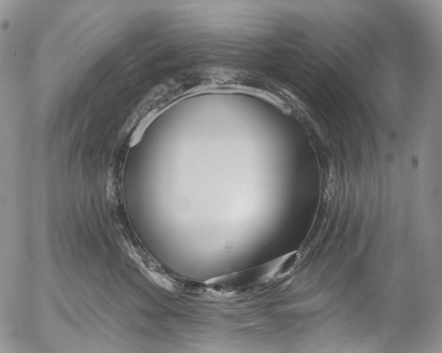 X0000053160524200508012339